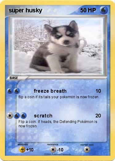 Pokemon super husky