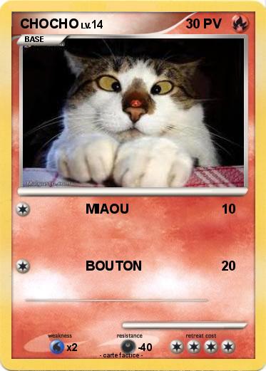 Pokemon CHOCHO