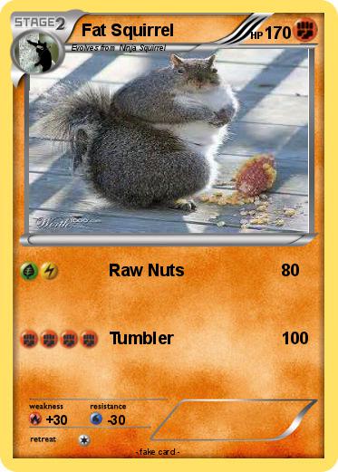Pokemon Fat Squirrel