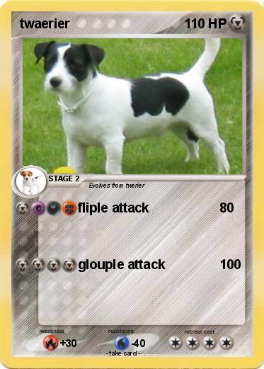 Pokemon twaerier