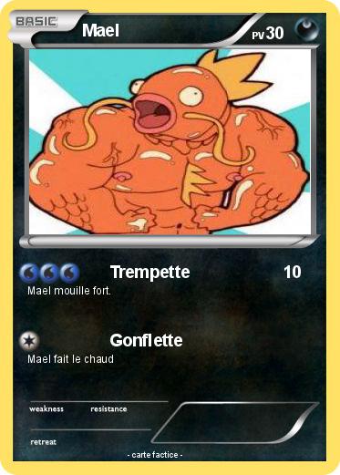 Pokemon Mael