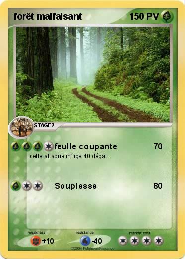 Pokemon forêt malfaisant