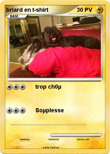 Pokemon briard en t-shirt