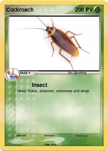 Pokemon Cockroach