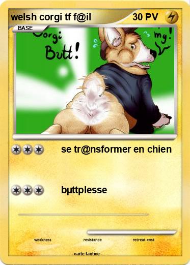 Pokemon welsh corgi tf f@il