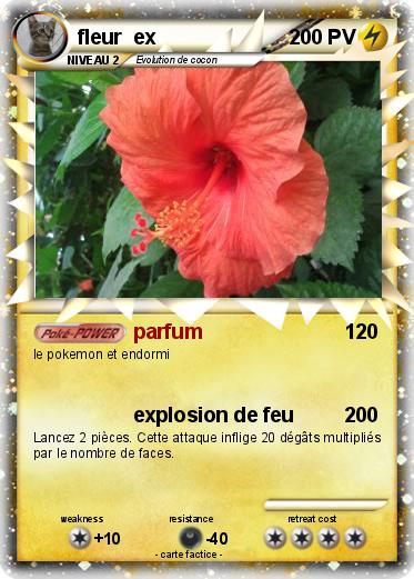 Pokemon fleur  ex