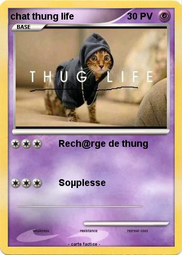 Pokemon chat thung life