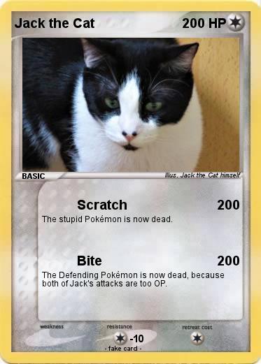 Pokemon Jack the Cat
