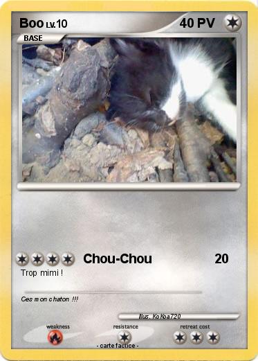 Pokemon Boo