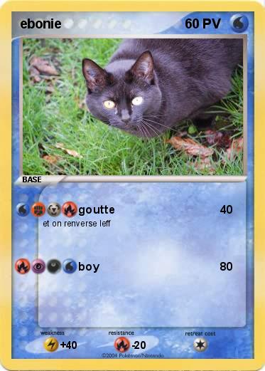 Pokemon ebonie