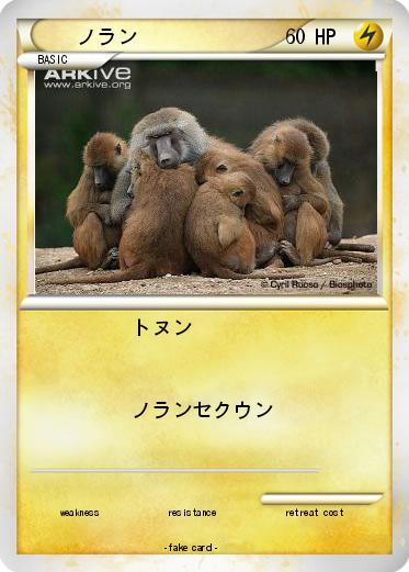Pokemon ノラン