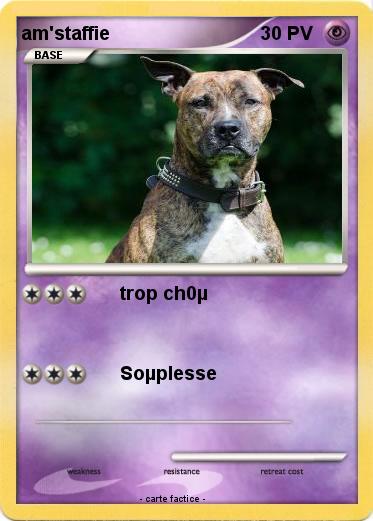 Pokemon am'staffie