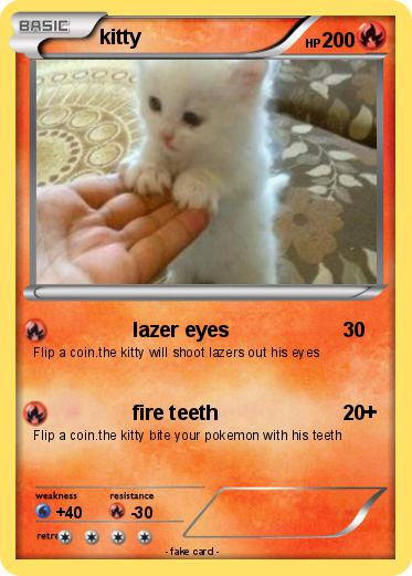 Pokemon kitty
