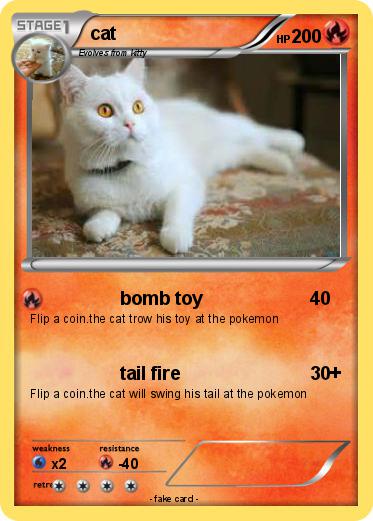 Pokemon cat