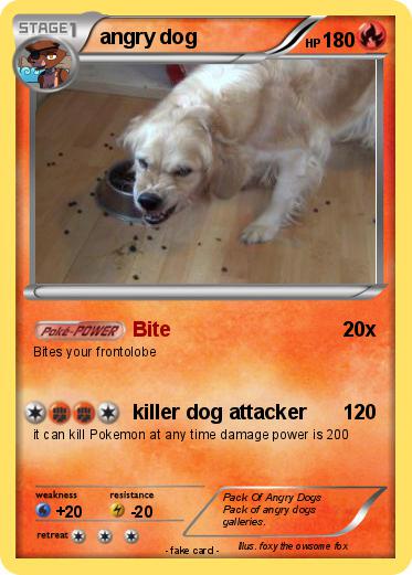 Pokemon angry dog