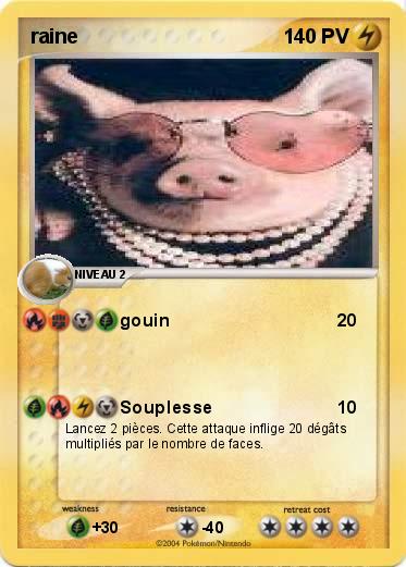 Pokemon raine