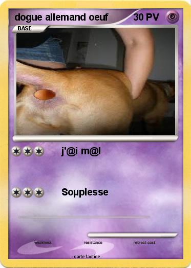 Pokemon dogue allemand oeuf