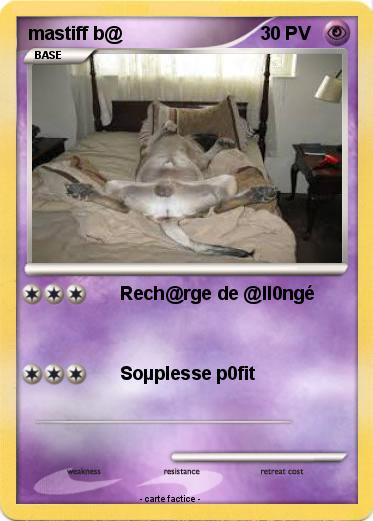 Pokemon mastiff b@