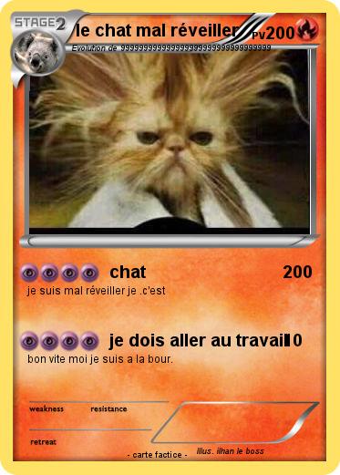 Pokemon le chat mal réveiller
