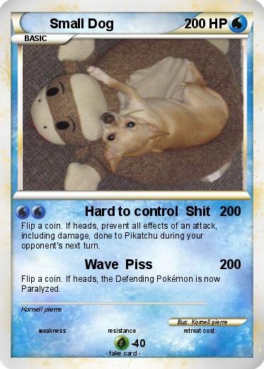 Pokemon Small Dog