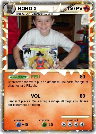 Pokemon HOHO X