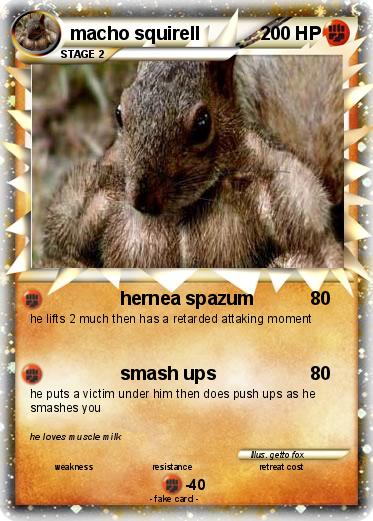 Pokemon macho squirell