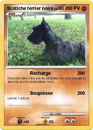 Pokemon Scotiche terrier noire