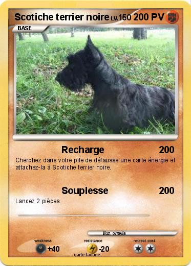 Pokemon Scotiche terrier noire