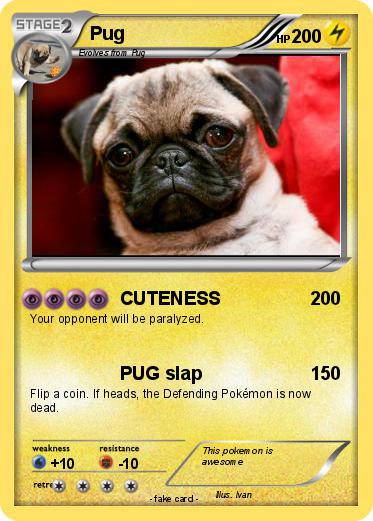 Pokemon Pug
