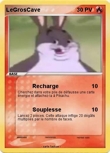 Pokemon LeGrosCave
