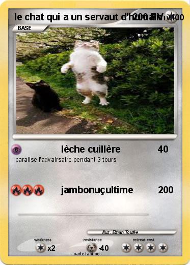 Pokemon le chat qui a un servaut d'humain