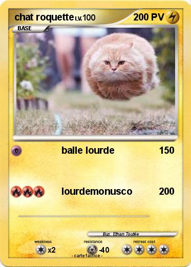 Pokemon chat roquette
