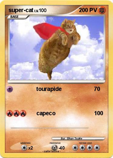 Pokemon super-cat