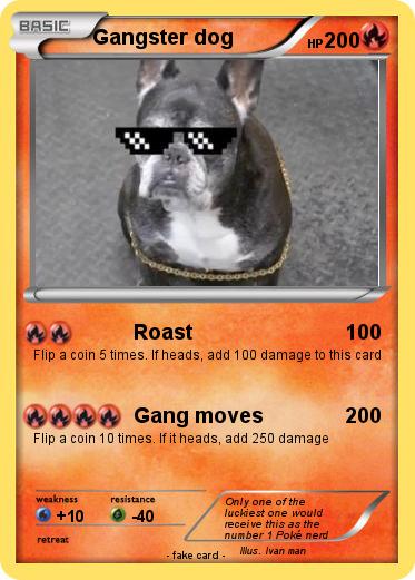 Pokemon Gangster dog
