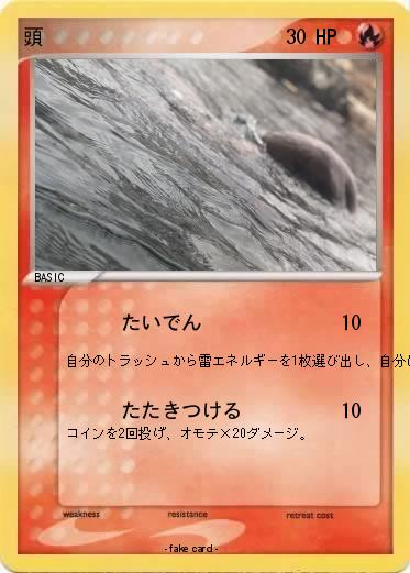 Pokemon 頭