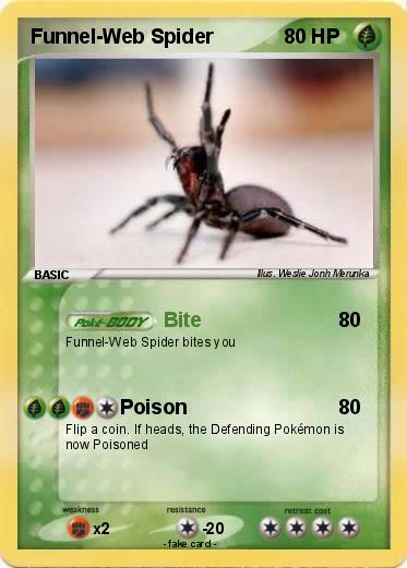 Pokemon Funnel-Web Spider