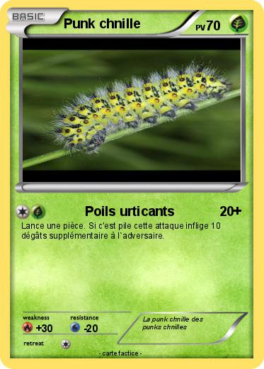 Pokemon Punk chnille