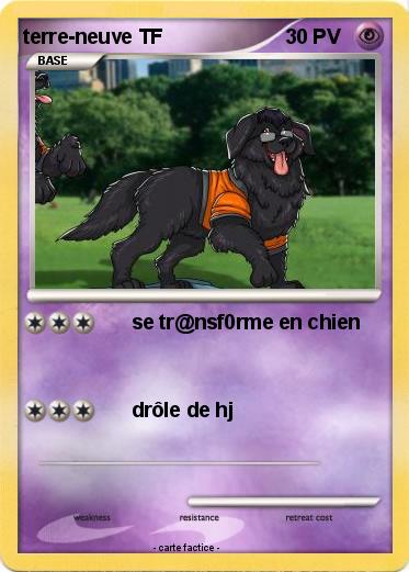 Pokemon terre-neuve TF