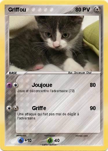 Pokemon Griffou