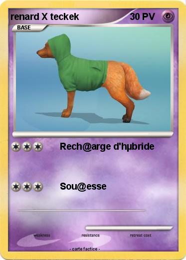 Pokemon renard X teckek