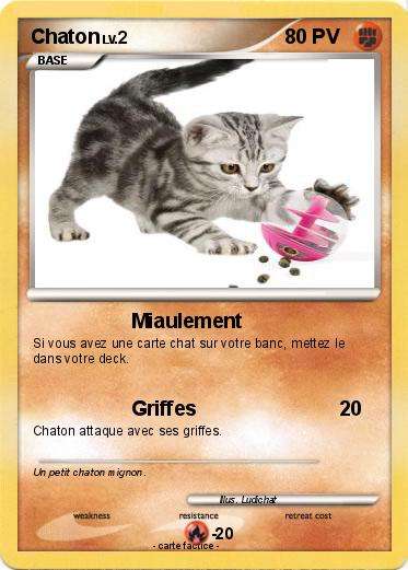 Pokemon Chaton