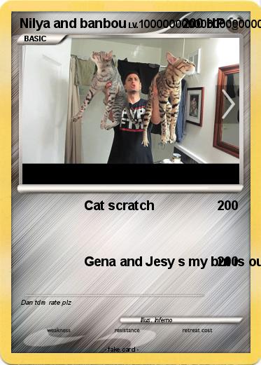 Pokemon Nilya and banbou