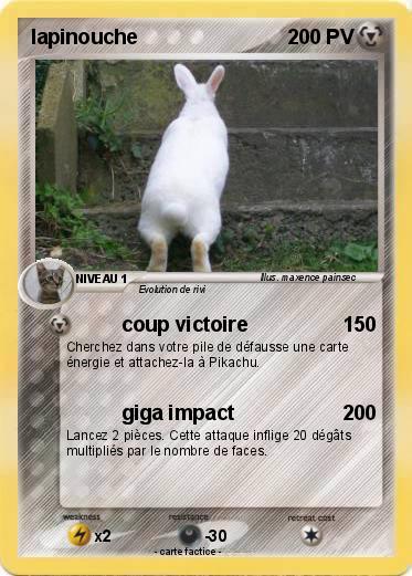Pokemon lapinouche
