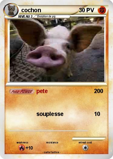 Pokemon cochon