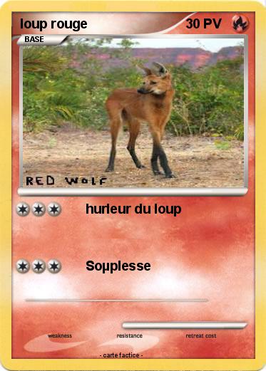 Pokemon loup rouge