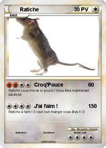 Pokemon Ratiche