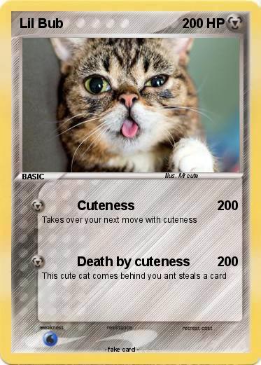 Pokemon Lil Bub