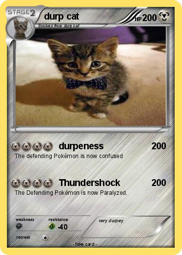 Pokemon durp cat