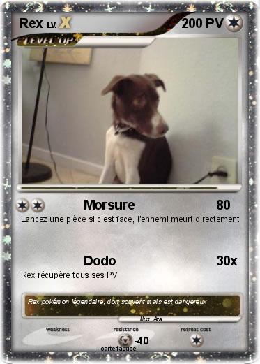 Pokemon Rex
