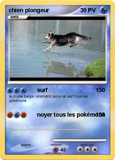 Pokemon chien plongeur